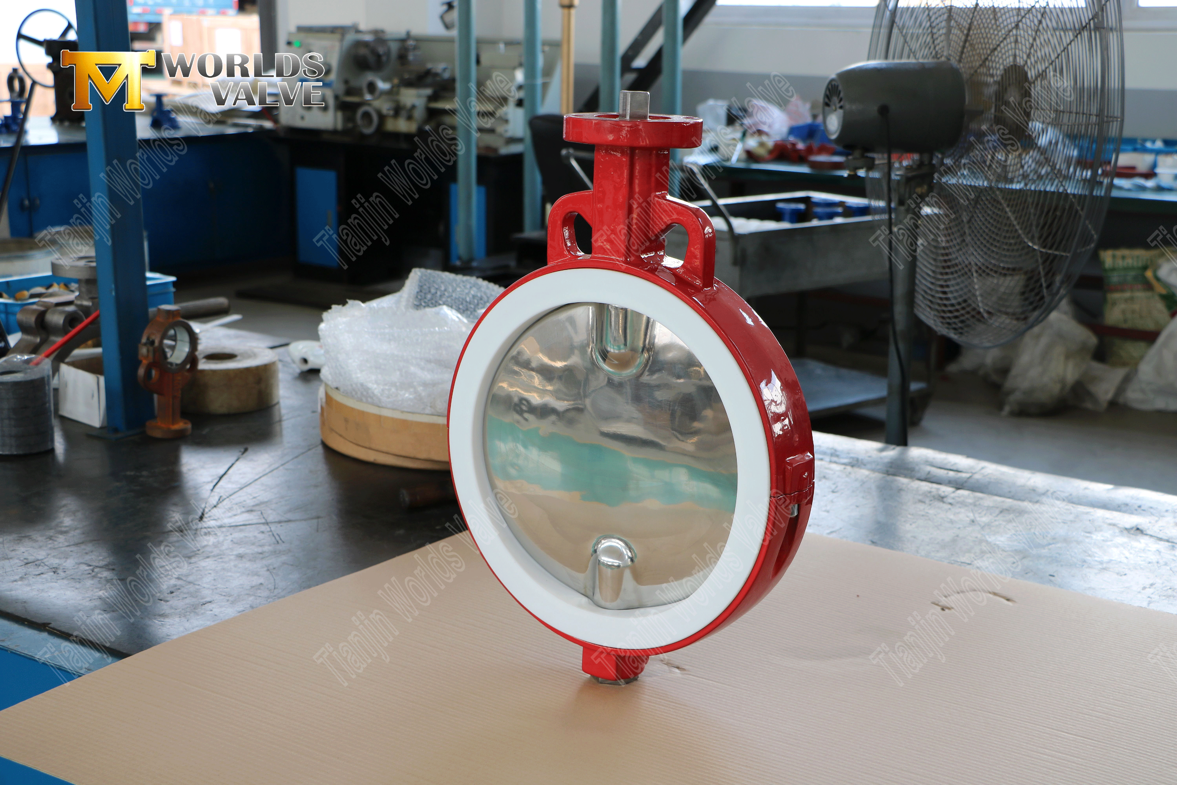 PTFE Lined Butterfly Valve with Polished Disc and Pneumatic Actuator-1 (6)