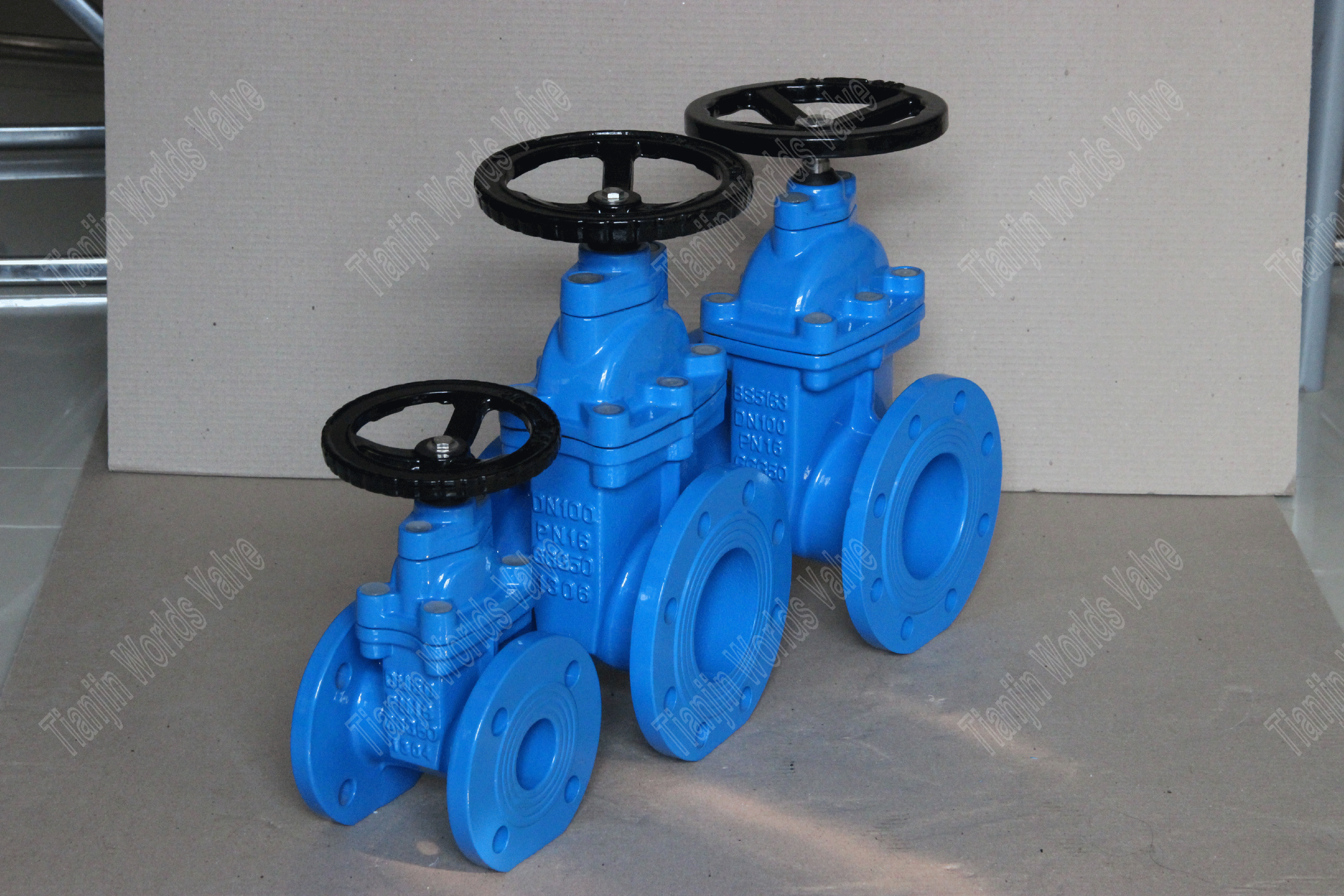 BS5163 EPDM Seated DI Non-Rising Stem Gate Valves (6)