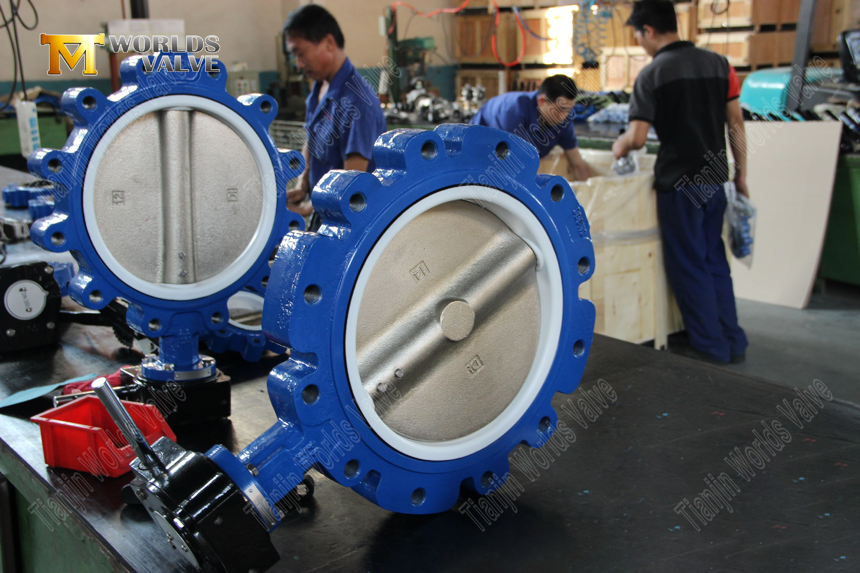 Lug butterfly valve