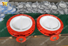 Two PCS Body design PTFE Liner Butterfly Valves PN10 PN16 CLASS150 