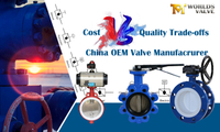 //ikrorwxhnjoklo5p-static.micyjz.com/cloud/lrBprKiklmSRjljinoijio/China-OEM-Valve-Manufacturer-Checklist-Cost-vs-Quality-Trade-offs-Finding-Your-Perfect-Fit.jpg