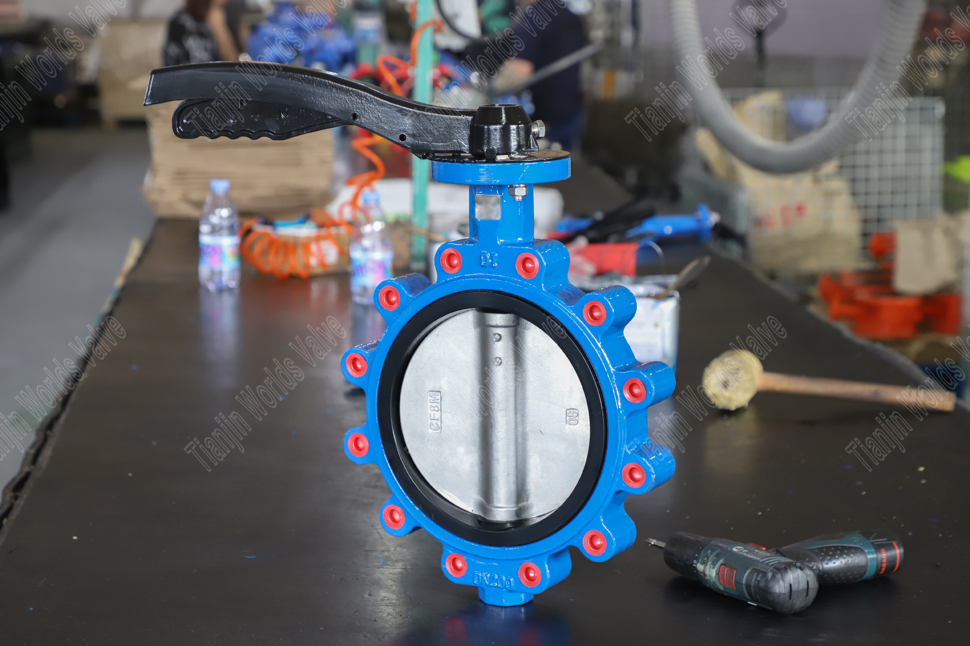 Lug Butterfly Valve with DI Valve Body and Stainless Steel Disc by China Butterfly Valve Supplier (1)