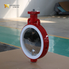 Pneumatic Actuated Teflon Lined Butterfly Valve by China OEM Valve Supplier