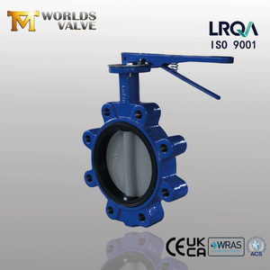 Butterfly Valve with Resilient rubber seat produced by Lug Type Butterfly Valve Supplier-Tianjin Worlds Valve Co., Ltd.