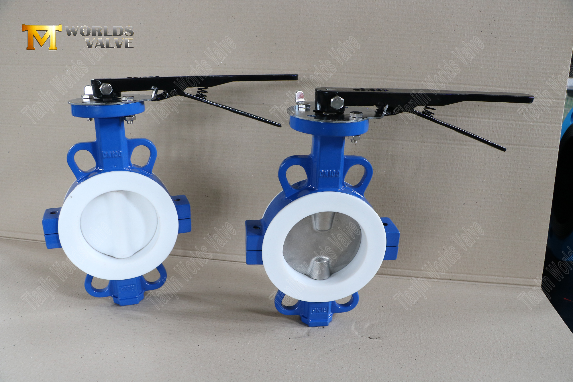 DN100-Teflon-Lined-Wafer-Split-Body-Butterfly-Valves--Corrosion-Resistant-Flow-Control-(9)