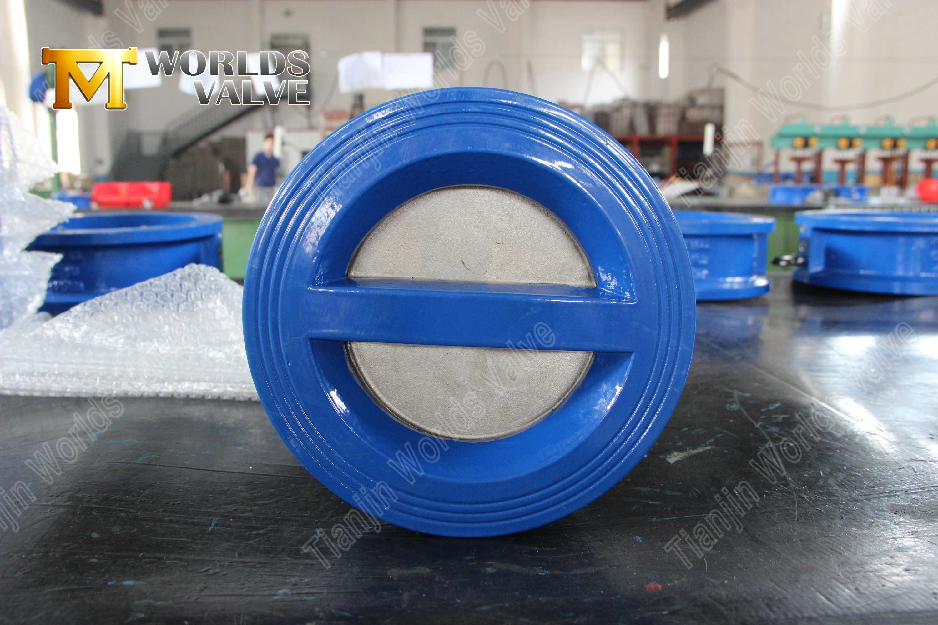 Stainless Steel Double Disc Wafer Type Non-Return Valve Zero-Leakage Backflow Prevention-1 (4)
