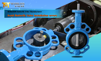 //ikrorwxhnjoklo5p-static.micyjz.com/cloud/lrBprKiklmSRklniqqkkiq/Common-Butterfly-Valve-Installation-Mistakes-And-How-To-Avoid-Them.jpg