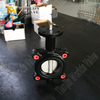 EPDM Seat Butterfly Valve with SS Disc and Lug Type Design produced by China OEM Valve Supplier-Tianjin Worlds Valve Co., Ltd
