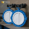 Butterfly Valves with Worm Gear and PTFE Seat & Disc produced by China OEM Valve Supplier-Tianijn Worlds Valve Co., Ltd.