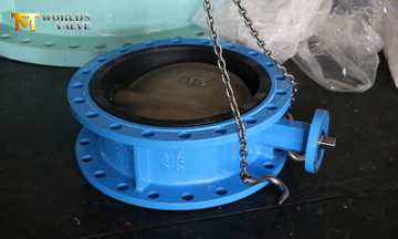 CF8M Disc Double Flanged Butterfly Valve.jpg