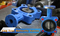 //ikrorwxhnjoklo5p-static.micyjz.com/cloud/lrBprKiklmSRllnijrlkio/What-is-a-lug-type-butterfly-valve.jpg