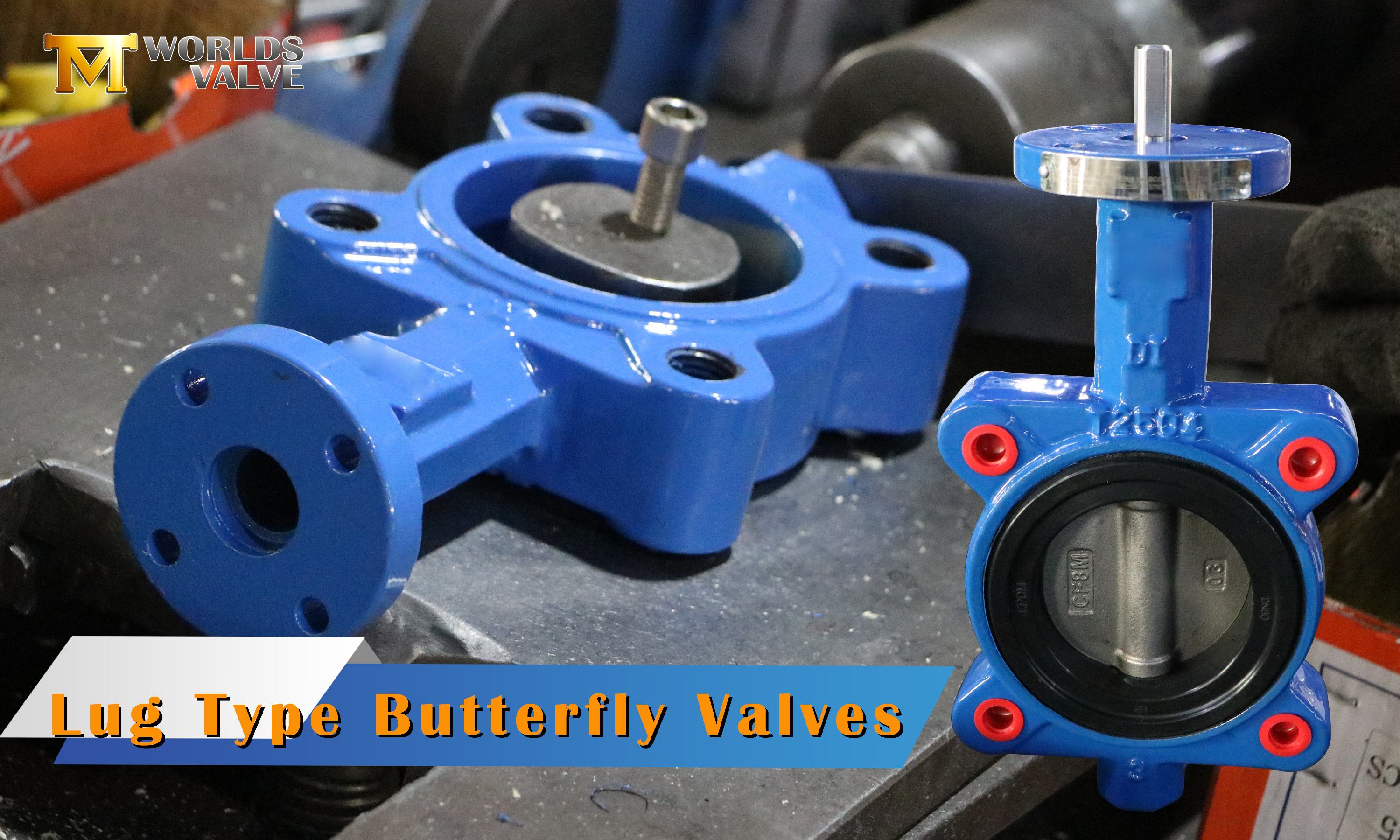 What Is A Lug Type Butterfly Valve?