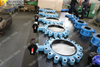 Fully lugged Butterfly Valves PN21 PN25 AS2129 Standard