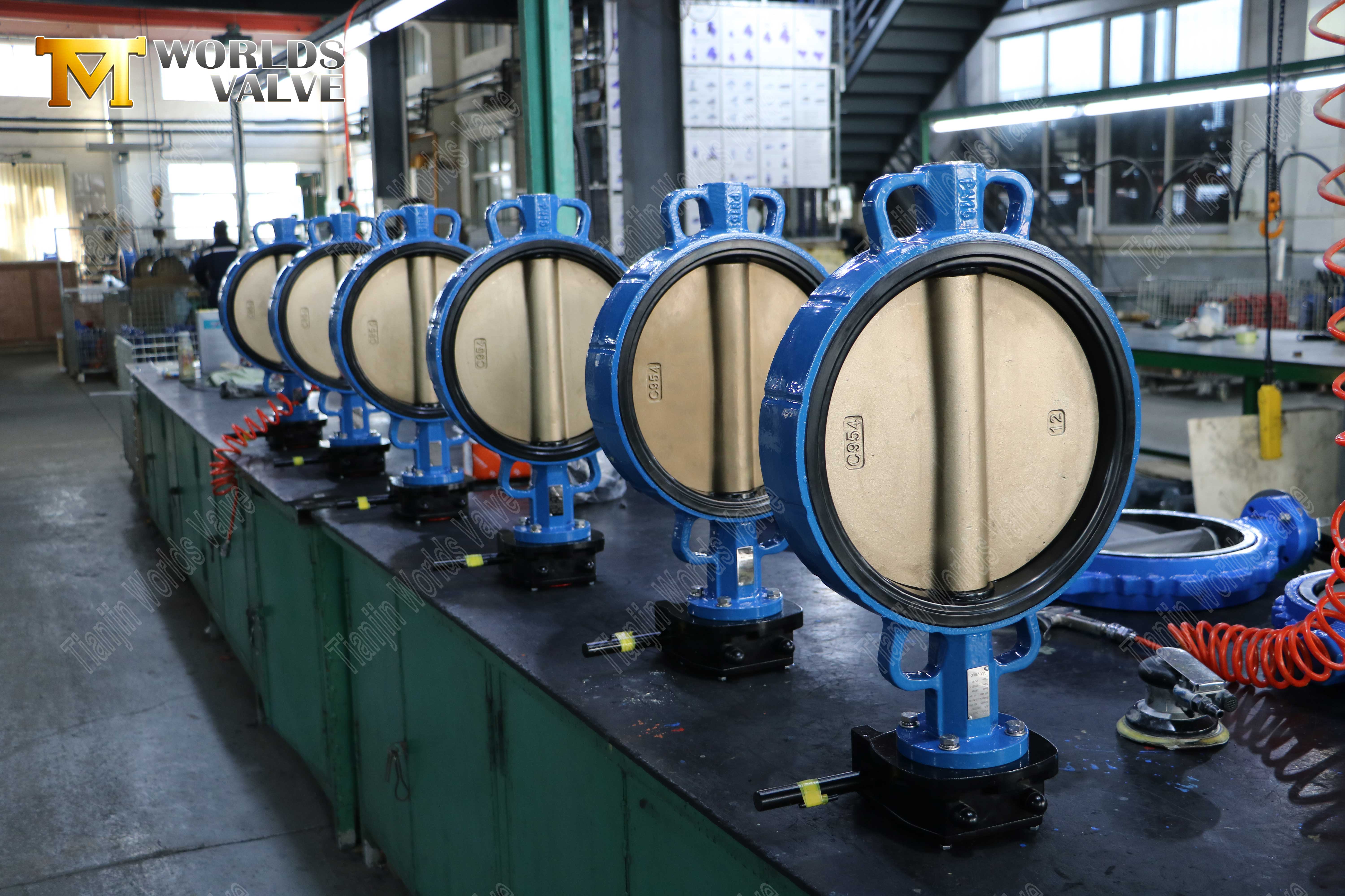 Wafer Type Soft Back Seat Butterfly Valve with Gear Operator (4)