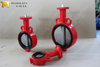 Wafer Butterfly Valves with Hand Lever and SS Disc from China OEM Valve Manufacturer-Tianjin Worlds Valve Co.,Ltd.