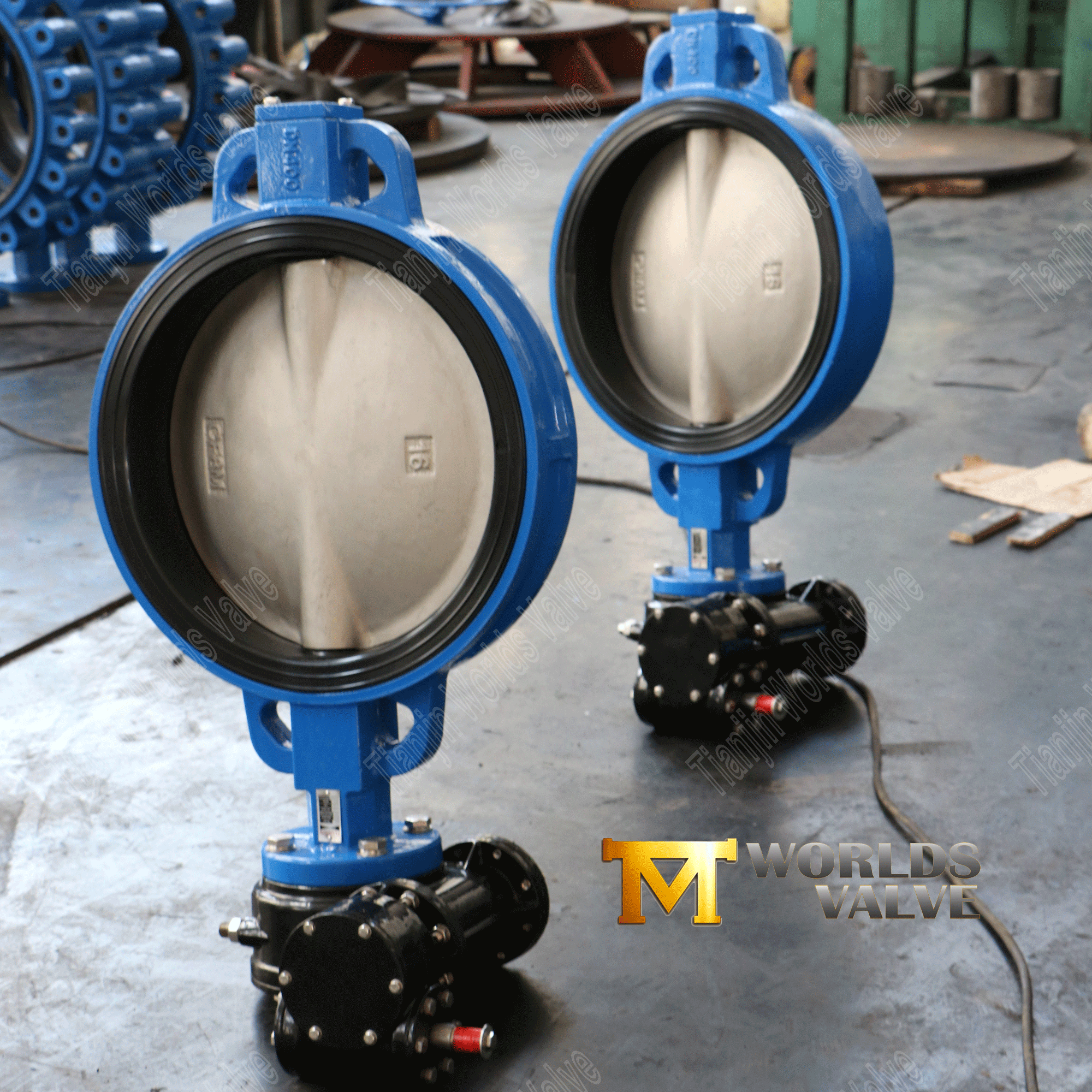 EPDM Seat Wafer Butterfly Valve with SS Disc (1)