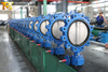 Lug Concentric Butterfly Valve with Worm Gear Operated produced by China OEM Valve Supplier-Tianjin Worlds Valve Co.,Ltd.