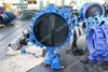 Halar coated disc concentric lugged type butterfly valves seawater 