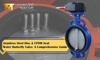 //ikrorwxhnjoklo5p-static.micyjz.com/cloud/lrBprKiklmSRnlkrmnioiq/Stainless-Steel-Disc-EPDM-Seat-Wafer-Butterfly-Valve-A-Comprehensive-Guide.jpg