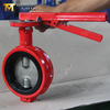 Hand Lever Industrial Butterfly Valve offered by China Valve Supplier-Tianjin Worlds Valve Co., Ltd.