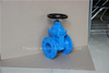 AWWA C509 Rubber Gate Valve with EPDM Coated Wedge