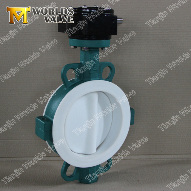 PTFE Lining Wafer Type Butterfly Valve for Corrosive Medium