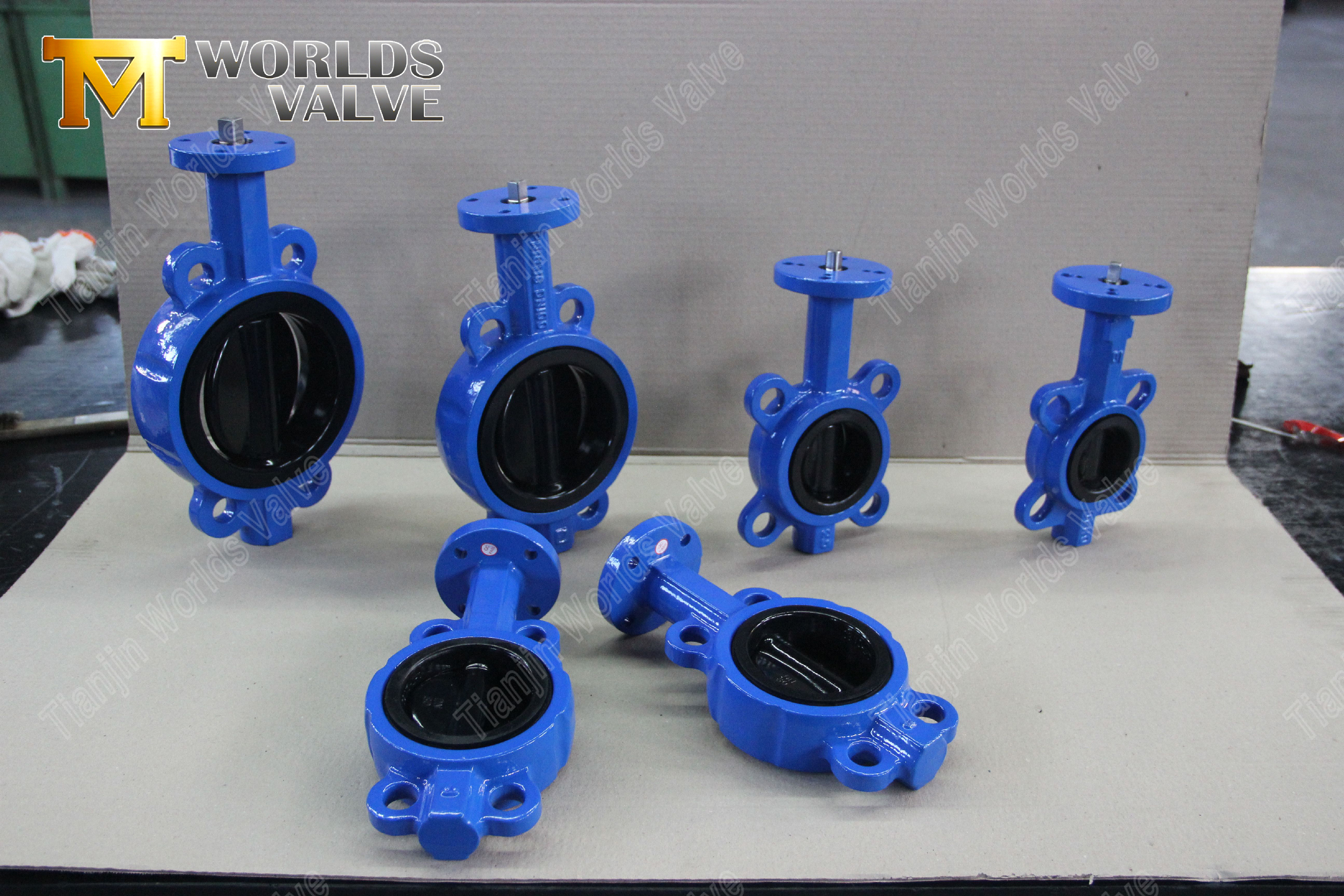 Customizable Wafer Butterfly Valve with Aluminum Handle & Resilient Seat OEM Focus-1 (10)