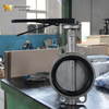 Wafer Butterfly Valve with SS Disc & Body from China OEM|ODM Valve Manufacturer-Tianjin Worlds Valve Co., Ltd.