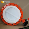 DN600 Two-Piece Flanged PTFE Butterfly Valve with WCB Body & Gear Operated