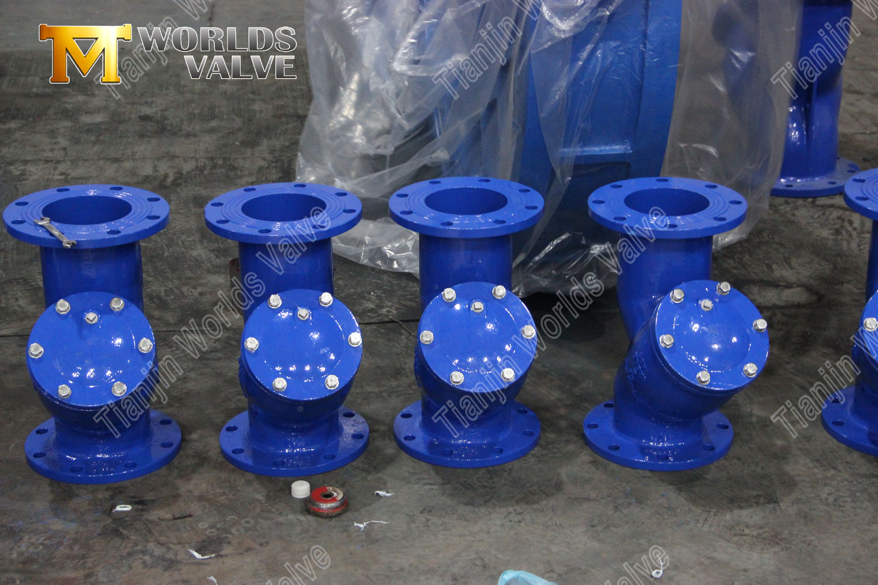 Flanged Y Type Strainer WCB Carbon Steel Industrial Pipeline Protection (7)