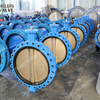 VITON/FKM/FPM Seat Rubber Liner Butterfly Valve