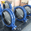 U pattern double flange butterfly valves