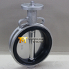 Polished Stainless Steel Disc wafer Butterfly Valve Food Grade WRAS Certificate