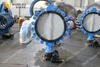 Nylon coating Disc Lugged Butterfly valves with Gearbox Operator