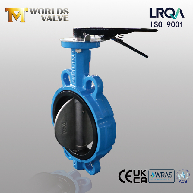 6 Inch Wafer Butterfly Valve – Class 150, CF8M Disc, EPDM Seat from China OEM manufacturer - Tianjin Worlds Valve Co., Ltd. 