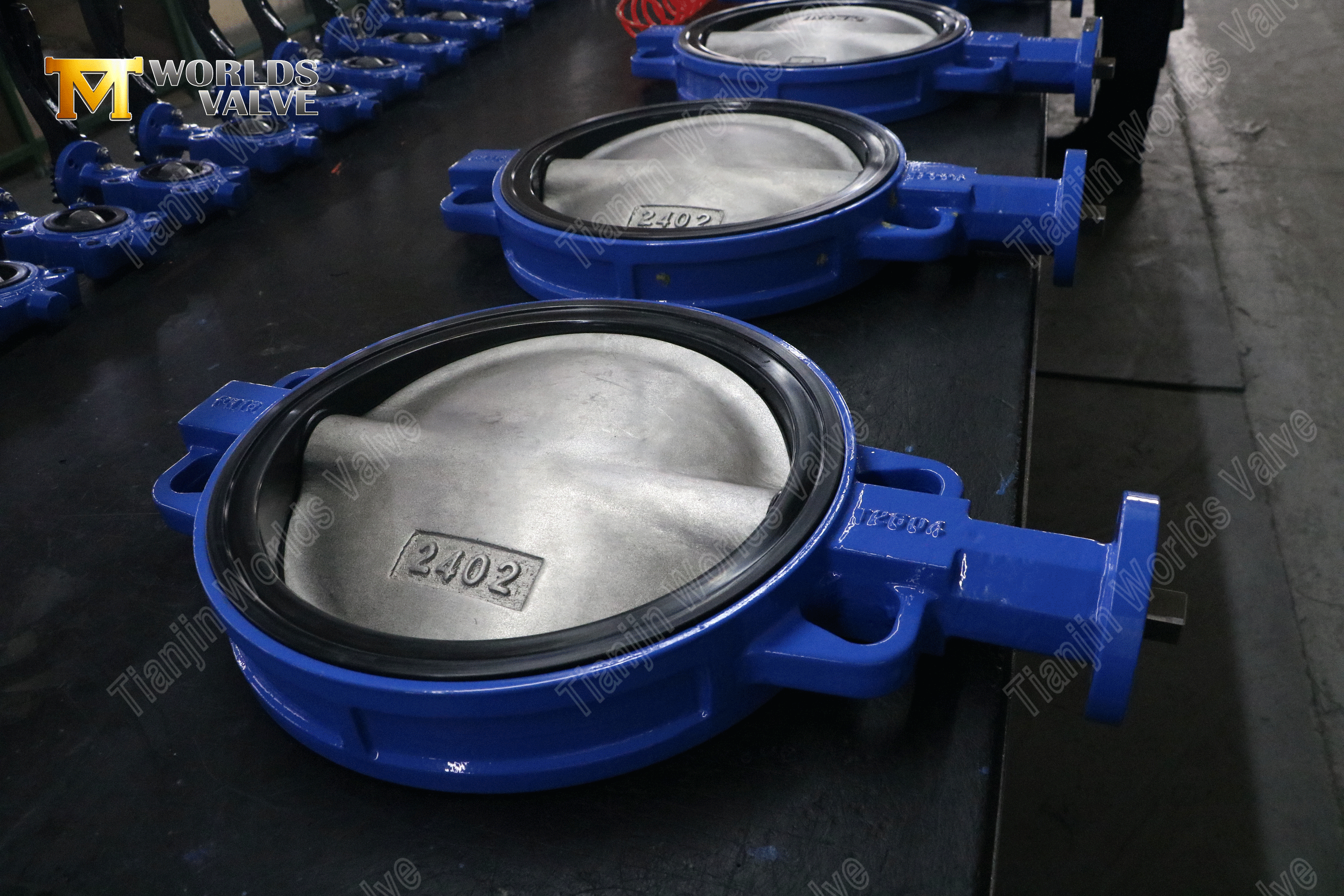 Gear Operated Wafer Butterfly Valve – Replaceable EPDM Seat, PN10-1 (4).png