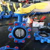 High Performance Lug Butterfly Valve Manufacturer China-Tianjin Worlds Valve Co., Ltd.