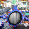 Lug Type Butterfly Valve Suppier-China Butterfly Valve Manufacturer-Tianjin Wolrds Valve Co., Ltd.