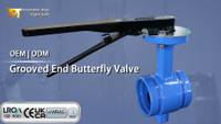 //ikrorwxhnjoklo5p-static.micyjz.com/cloud/pjBprKiklmSRmlnorikkiq/Grooved-End-Butterfly-Valve-with-Hand-Lever-A-Practical-Choice-for-Water-and-HVAC-Systems.jpg