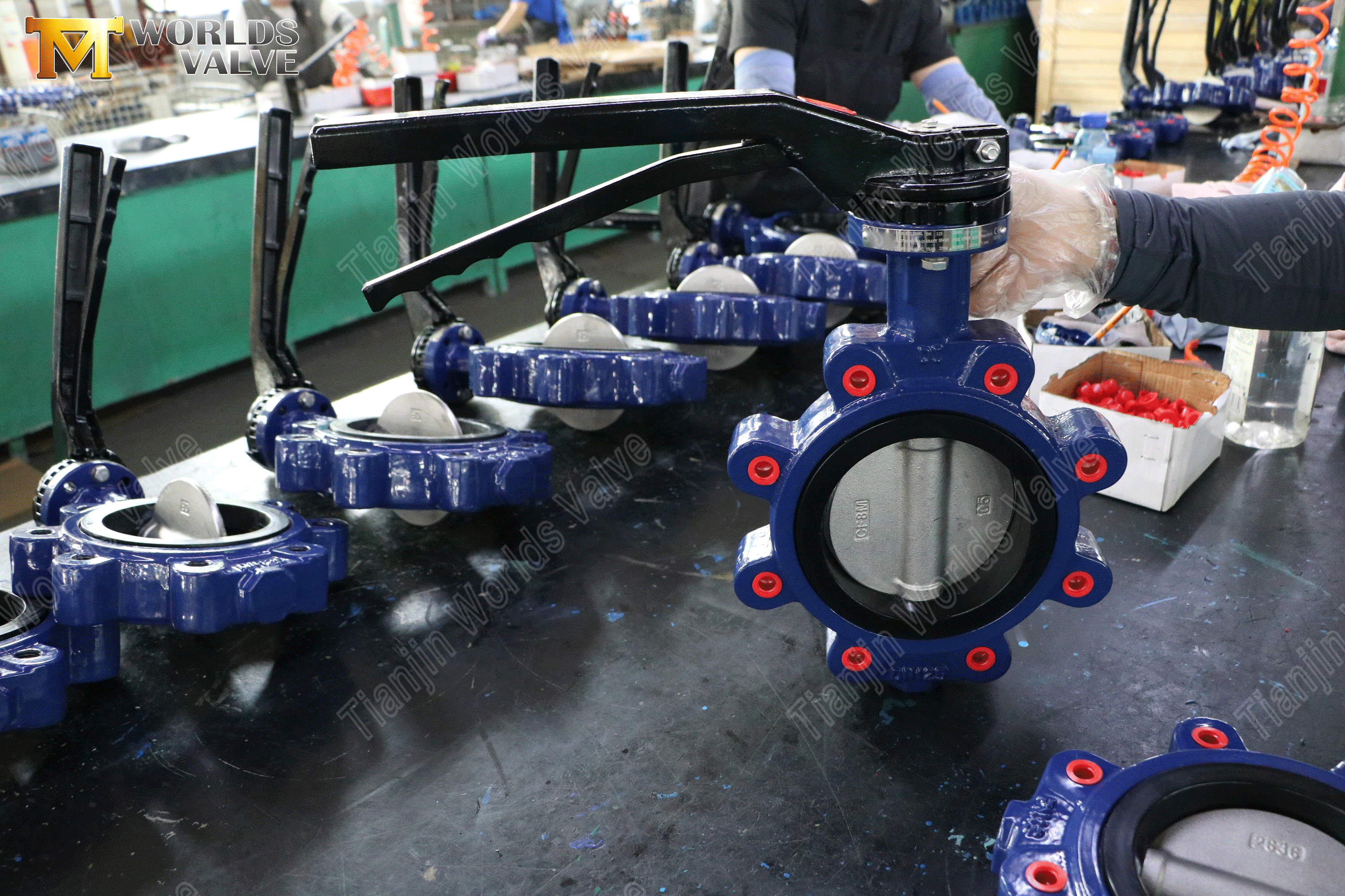 Lug Butterfly Valve–PN16, Aluminum Handle, OEM Manufacturer (6).png