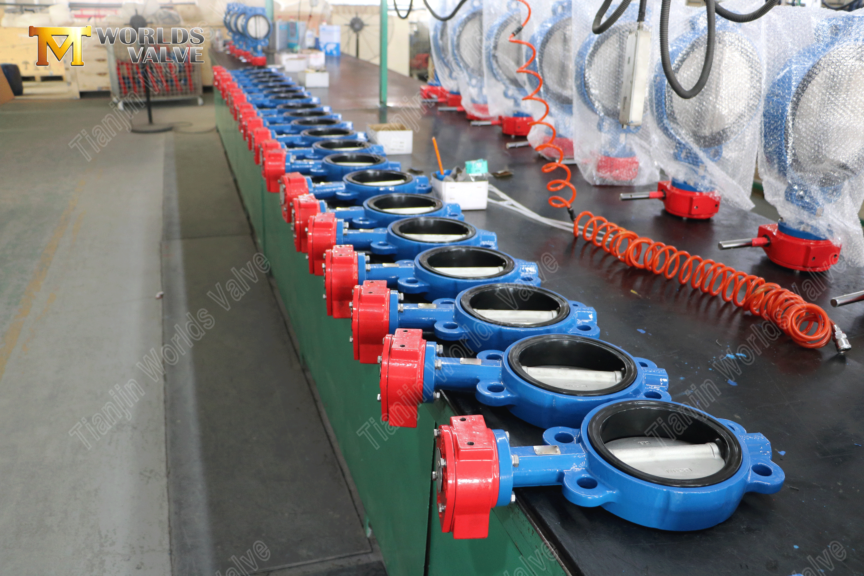 Gear Operated Wafer Butterfly Valve – Replaceable EPDM Seat, PN10-1 (1).png