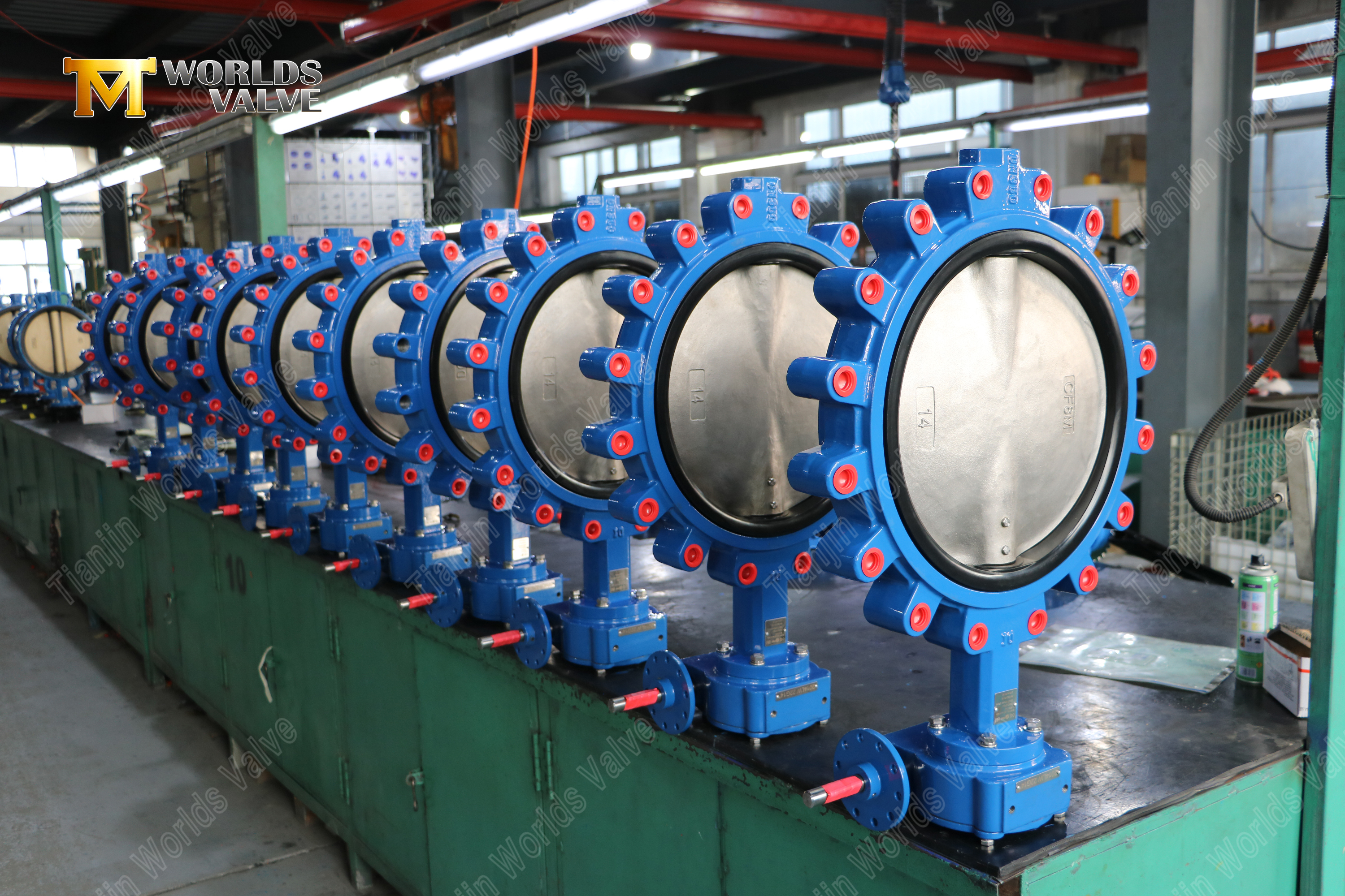 Lug Butterfly Valve CF8M Disc PN16 (8).jpg