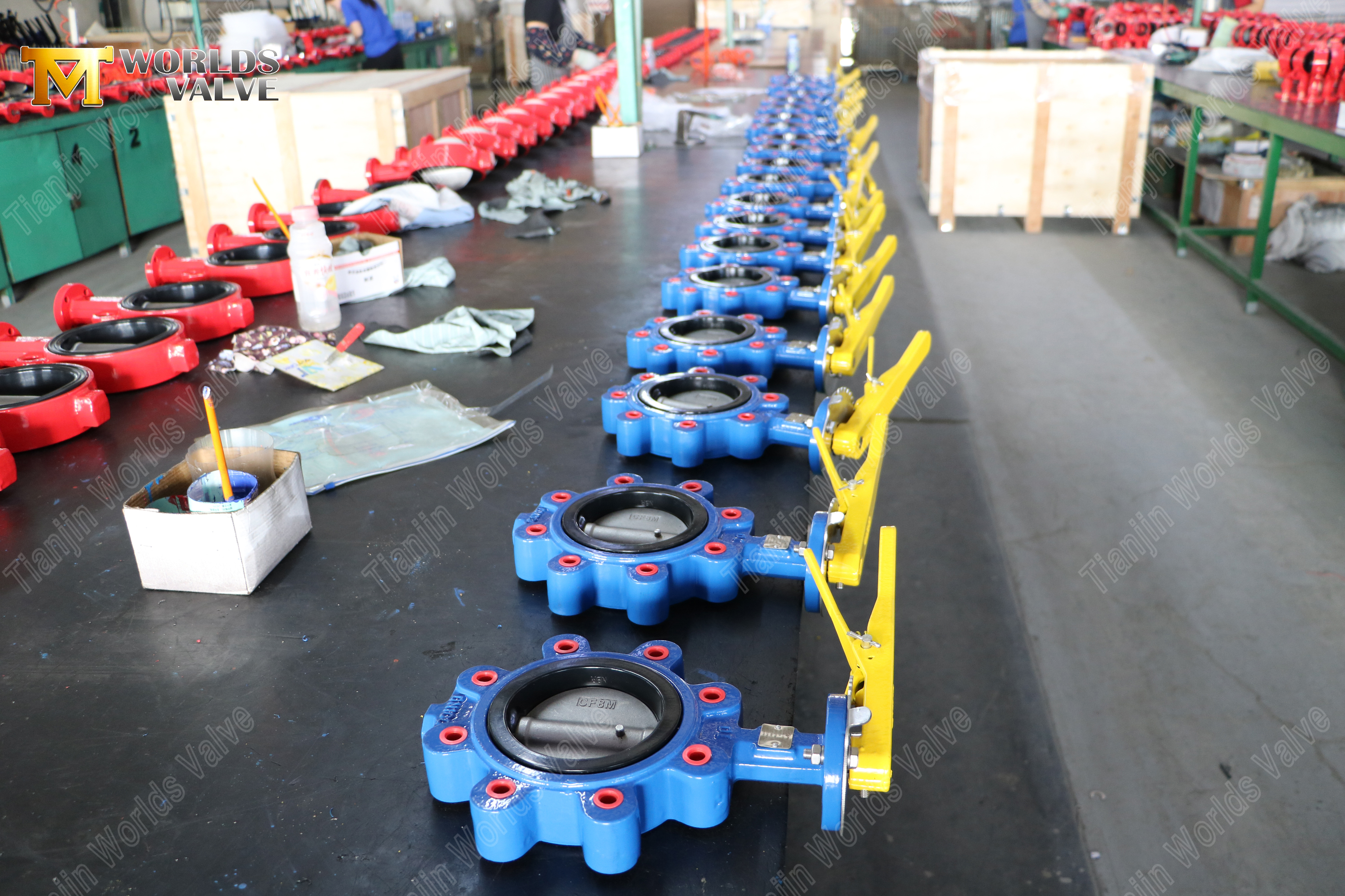 Lug Butterfly Valve CF8M Disc PN16 (9).jpg