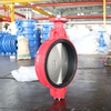 Wafer Butterfly Valve with SS Disc from China OEM|ODM Valve Manufacturer-Tianjin Worlds Valve Co., Ltd.