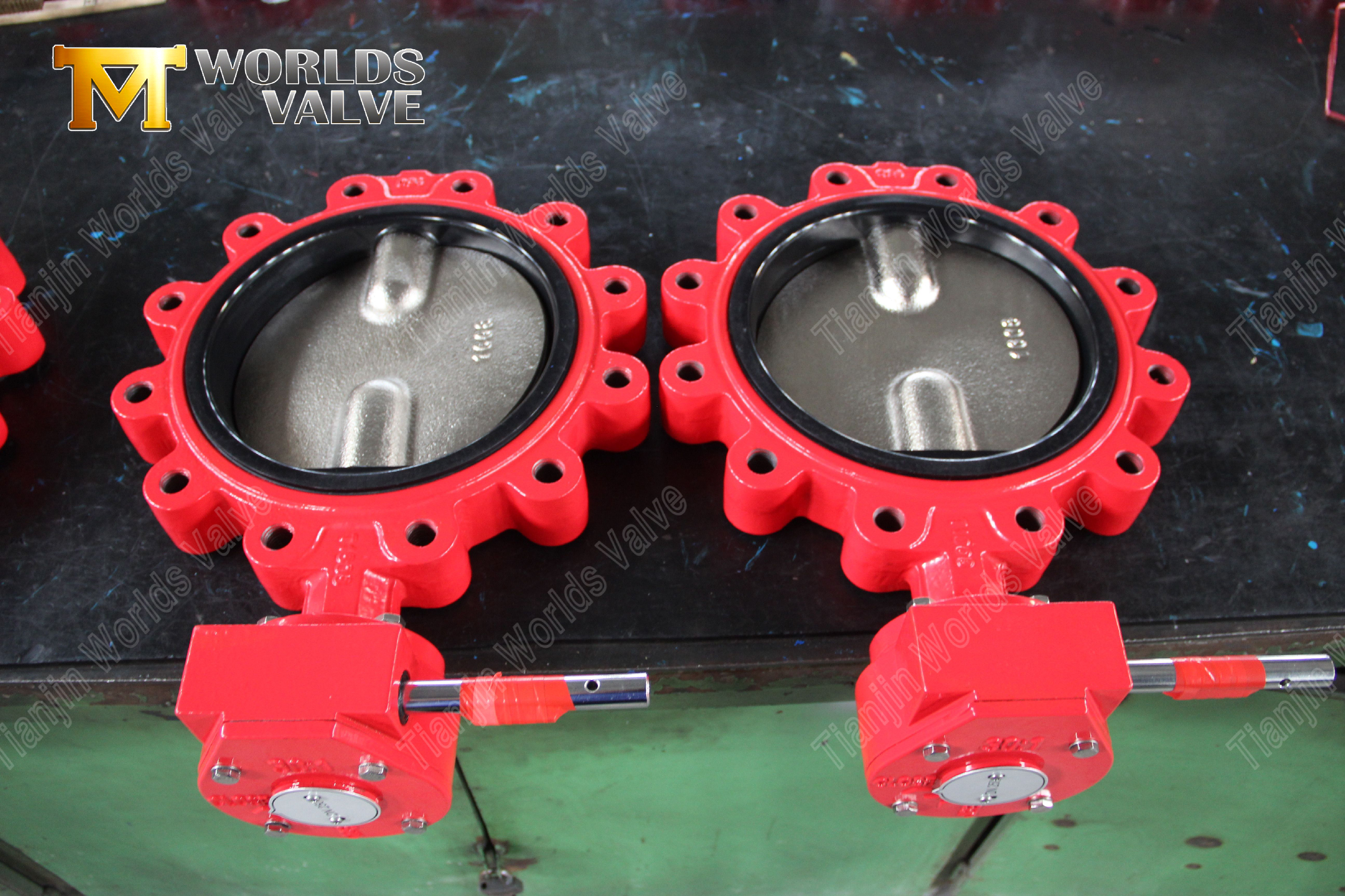 Extended Stem Lug Butterfly Valve Insulation-Friendly ISO 5211 (9).jpg
