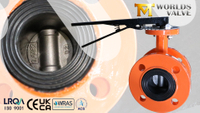 //ikrorwxhnjoklo5p-static.micyjz.com/cloud/pjBprKiklmSRqlpjqniqip/2-Double-Flanged-Butterfly-Valve-with-1-4462-Super-Duplex-Disc-Vulcanized-EPDM-Seat-Hand-Lever-Opera.jpg