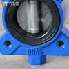 Semi-Lug Butterfly Valve | WCB Body, CF8 Disc, Viton Seat | Worm Gear DN150 10K
