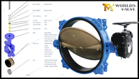 //ikrorwxhnjoklo5p-static.micyjz.com/cloud/pkBprKiklmSRmliqkmokip/OEMODM-Valve-Supplier-China-Customizable-Butterfly-Valve-Manufacturer.png