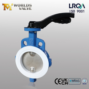 Split Body Wafer Butterfly Valve – PTFE Seat, OEM Manufacturer China - Tianjin Worlds Valve Co., Ltd. 