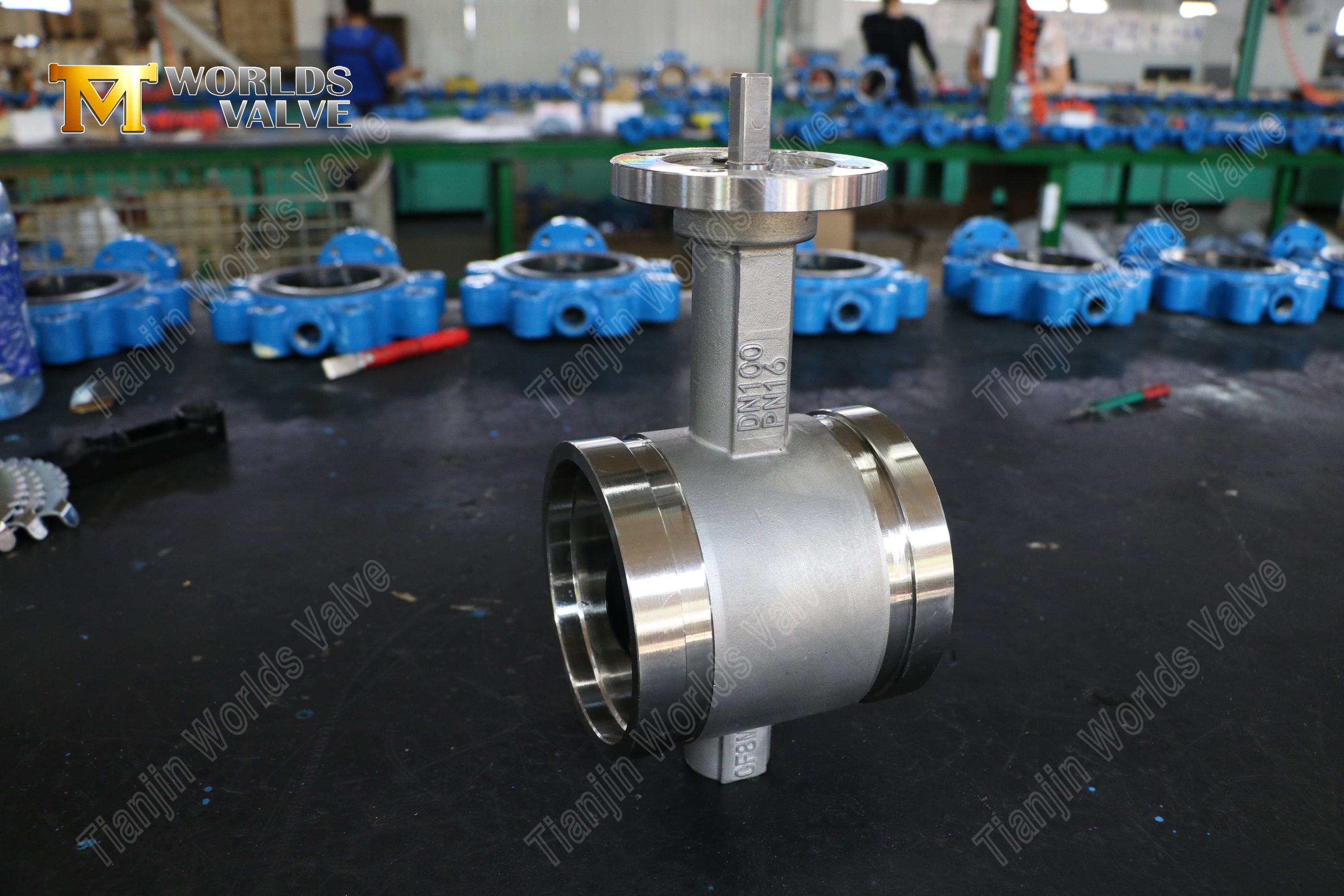 SS Grooved End Butterfly Valve – CF8M Body, PN16, OEM Manufacturer (6).jpg